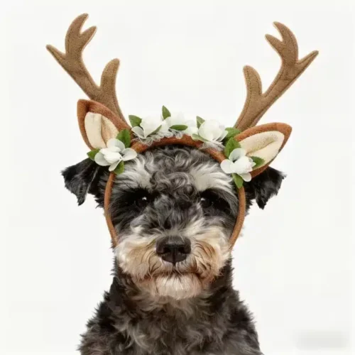 Wholesale Brown Dog Antler Headpiece – Bulk Christmas Pet Costume for Popular Breeds