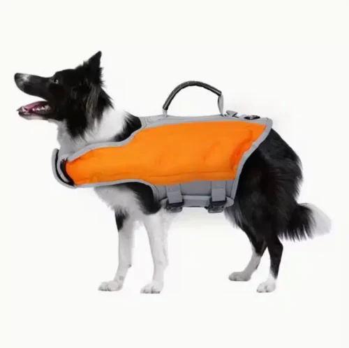 Small Dog Life Jacket with Adjustable Straps for B2B Buyers Short