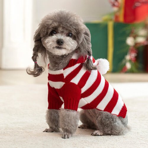 Striped Green Dog Sweater for Wholesale