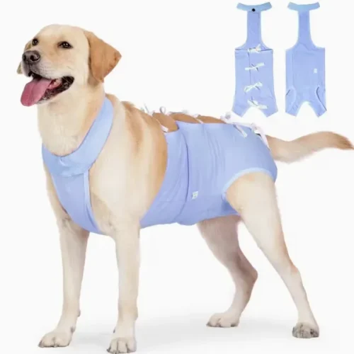 Wholesale Adjustable Dog Bodysuit - Post-Surgery Recovery Suit, Spay/Neuter Wound Protection OEM