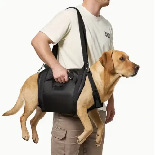 Wholesale Adjustable Dog Mobility Harness – OEM/ODM Lifting & Walking Aid