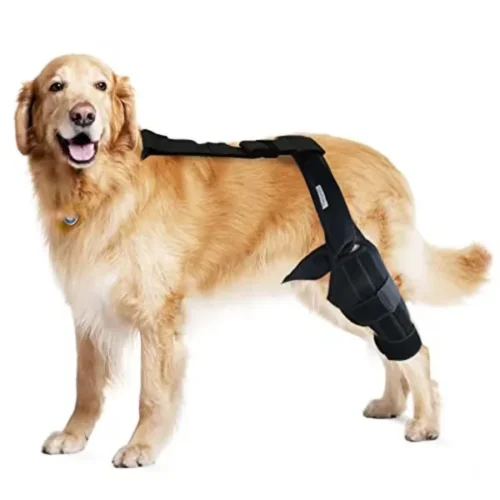 Wholesale Adjustable XXL Dog Hip & Knee Brace for ACL/CCL Injuries