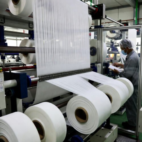 Wholesale Bandage a Dog in Non-Woven Fabric Short (2)