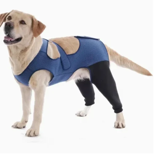 Wholesale Blue Dog Recovery Suit - Breathable Post-Surgery Hind Leg Sleeves OEM