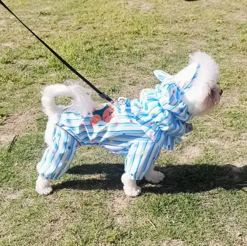 Wholesale Bunny-Ear Striped Dog Raincoat – Full-Body Waterproof OEM - Image 5