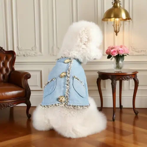 Wholesale Custom Dog Tweed Jacket – Blue Gold-Button Coat for Winter Outfits