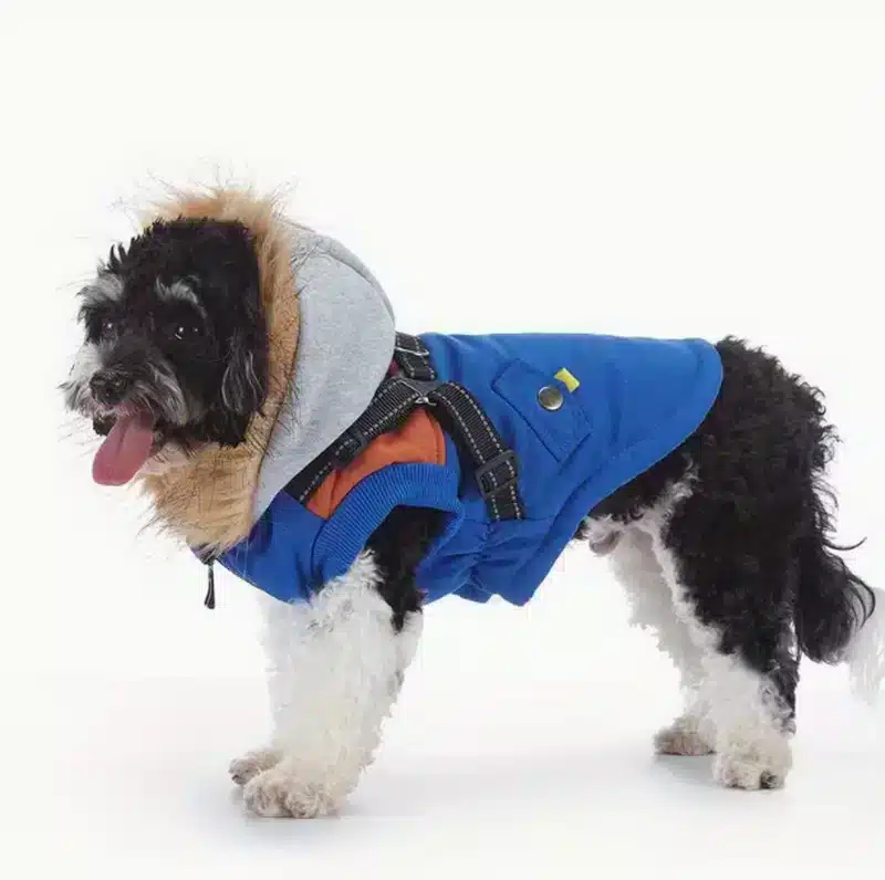 Dog winter coat waterproof