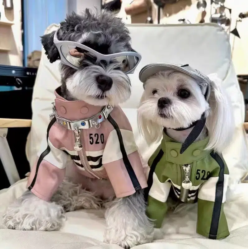 Wholesale Custom Moto-Style Dog Coat – Warm Padded Jacket for Cold Weather