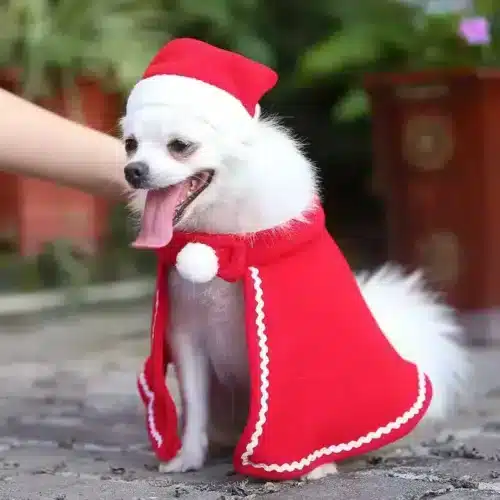 Wholesale Custom Small Dog Santa Cape Hat Red Teddy Costume Cloak OEM Bulk