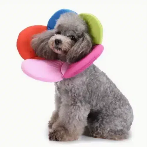 Wholesale Custom Soft Dog Recovery Collar – Heart/Flower Shape OEM Cone