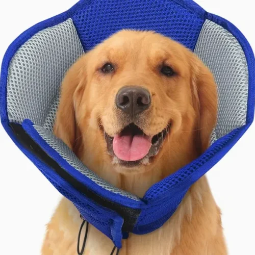 Wholesale Custom Soft Dog Recovery Cone Alternative - Breathable Collar OEM