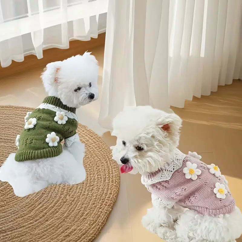 Small dog sweaters