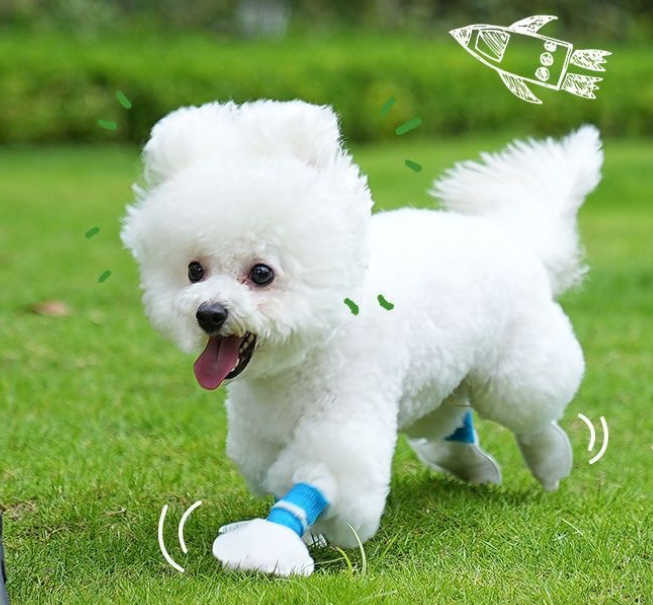 Disposable Dog Booties - Image 3