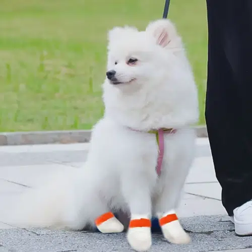 Wholesale Disposable Waterproof Dog Booties with Velcro - 60pcs Bulk Pack