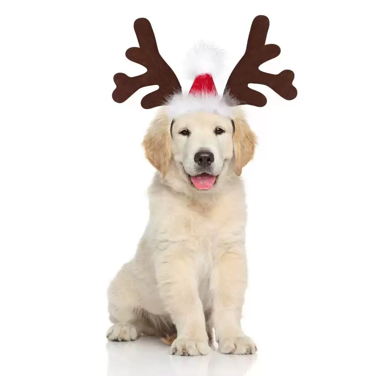 Wholesale Dog Antler Headband in Polyester