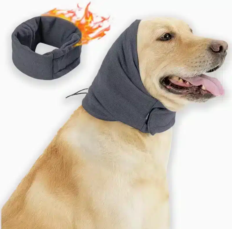 Calming Hood for Dogs