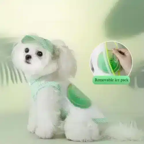 Wholesale Dog Cooling Coat with Replaceable Ice Pack & Sun Hat - OEM/ODM