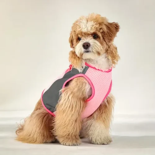 Wholesale Dog Cooling Vest OEM/ODM Contrast Color Puppy Summer Harness Vest