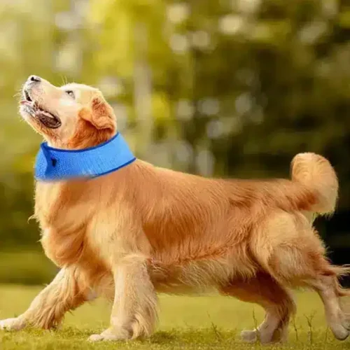 Wholesale Dog Cooling Vest OEM - Quick-Cool Adjustable Pet Scarf