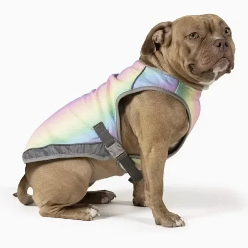 Wholesale Dog Cooling Vest - OEM Rainbow Evaporative Cooling Vest for Dogs