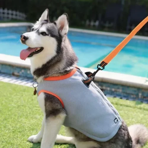 Wholesale Dog Cooling Vest – Adjustable Breathable Cooling Jacket OEM