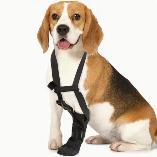 Wholesale Dog Paw Recovery Boot with Anti-Lick Harness for OEM Custom Orders