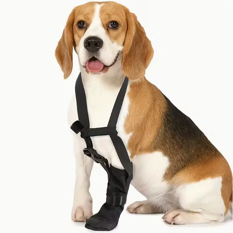 Wholesale Dog Paw Recovery Boot with Anti-Lick Harness for OEM Custom Orders