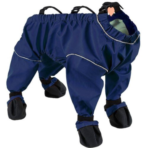 Wholesale Dog Waterproof Pants in Synthetic Leather Short
