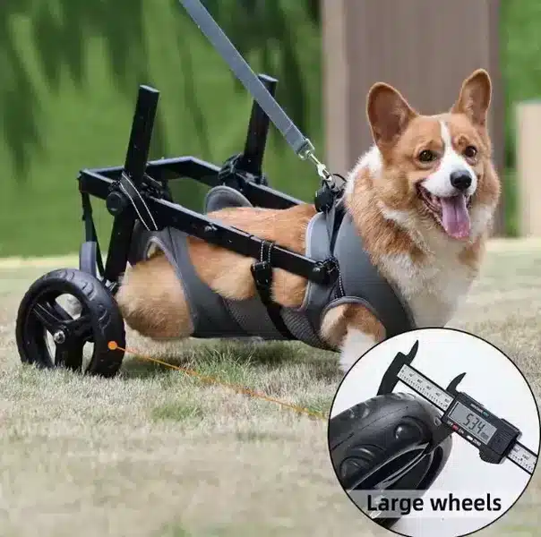 Wholesale Dog Wheelchair Adjustable Aluminum Pet Mobility Aid OEM/ODM - Image 6