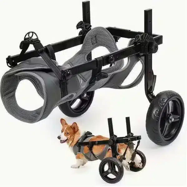 Wholesale Dog Wheelchair Adjustable Aluminum Pet Mobility Aid OEM/ODM - Image 3