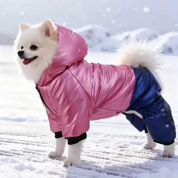 Wholesale Dog Outdoor Gear