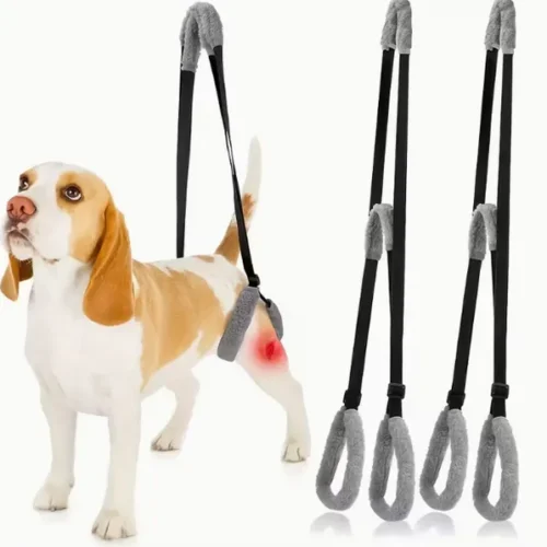 Wholesale OEM Adjustable Dog Harness Padded Back Support for Injured Elderly Disabled Pets