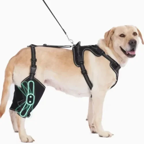 Wholesale OEM Adjustable Dog Knee Brace Hip Support Harness with Traction Rope Factory Custom