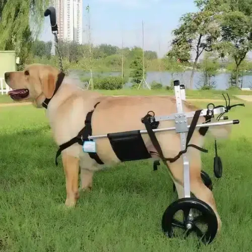 Wholesale OEM Adjustable Dog Wheelchair & Hip Brace – Post-Surgery Mobility Aid for Pets