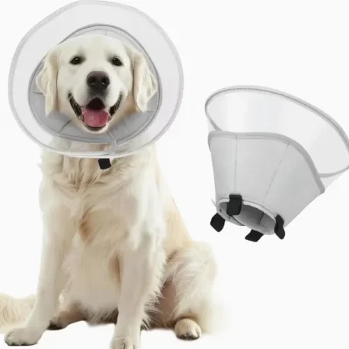 Wholesale OEM Soft Adjustable Dog Cone Collar – Post-Surgery Pet E-Collar, Medium-Large-Small