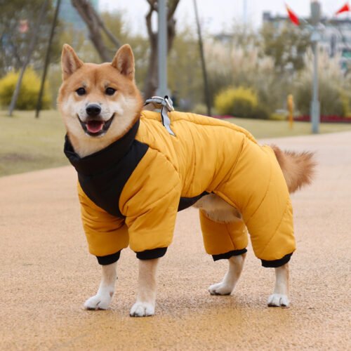 Wholesale Snowsuit for Small Dogs in Thick Fleece