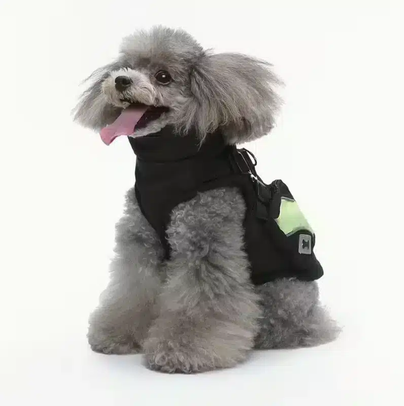 Dog coats for small dogs
