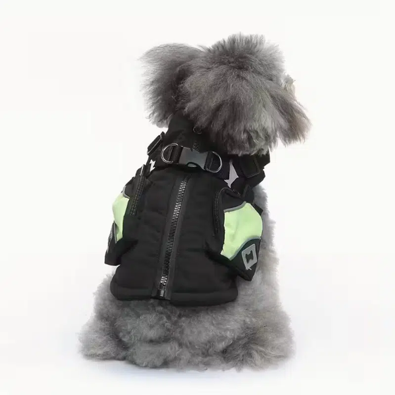 Dog coats for small dogs - Image 4