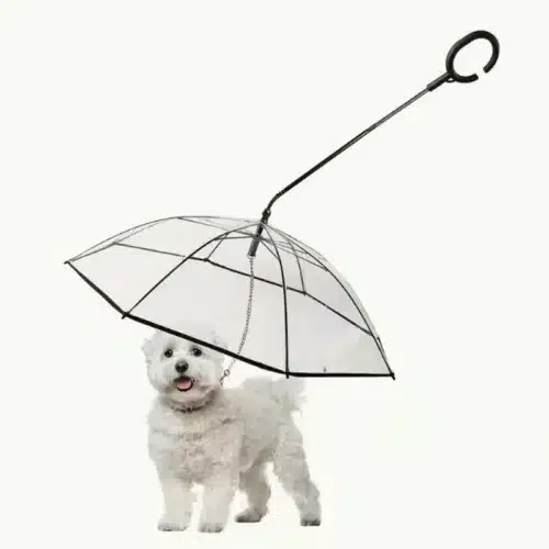 Wholesale Transparent Dog Umbrella with Adjustable Handle – OEM Rain Protection