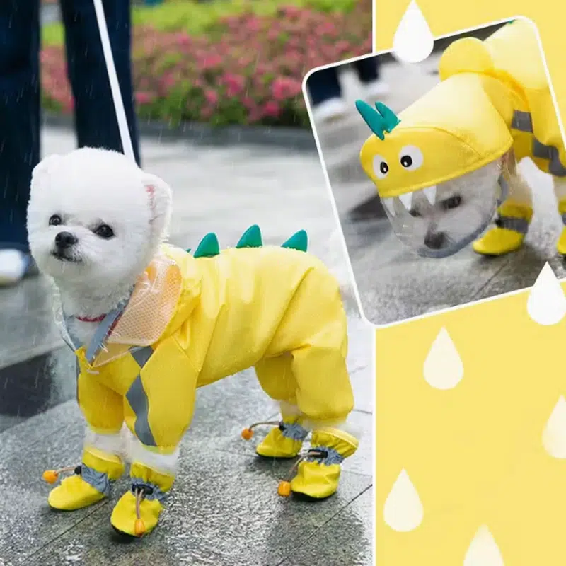 Dog Yellow Rain Jacket