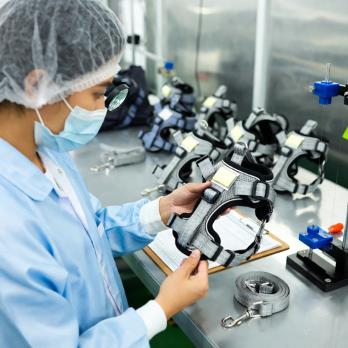 dog harness and leash set