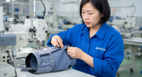 Elizabethan Collar Dog