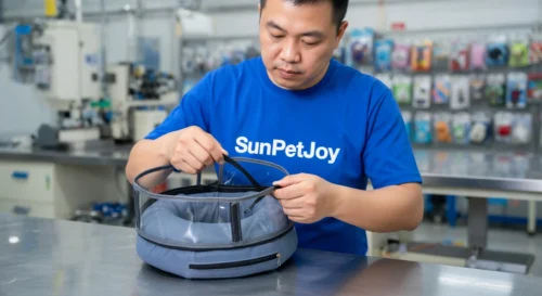 Elizabethan Collar Dog