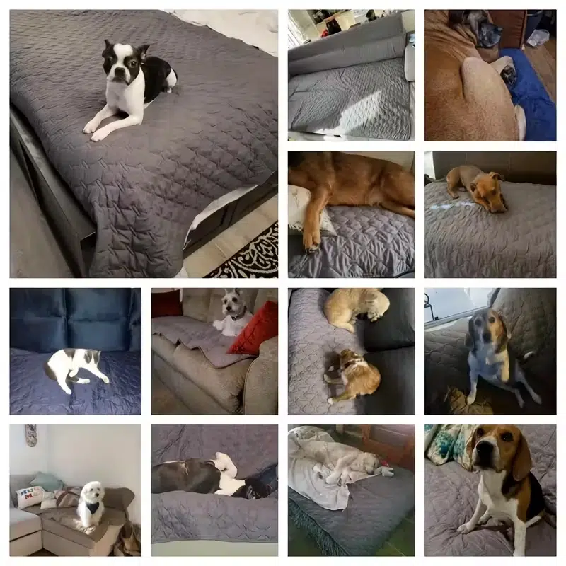 All-season waterproof pet sleeping mat, OEM customization available. - Image 3