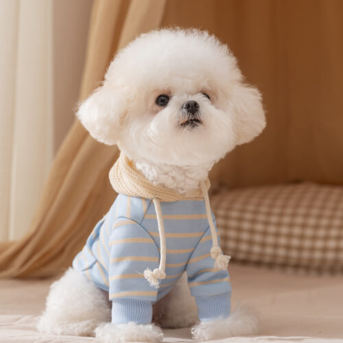 Cute Dog Hoodie