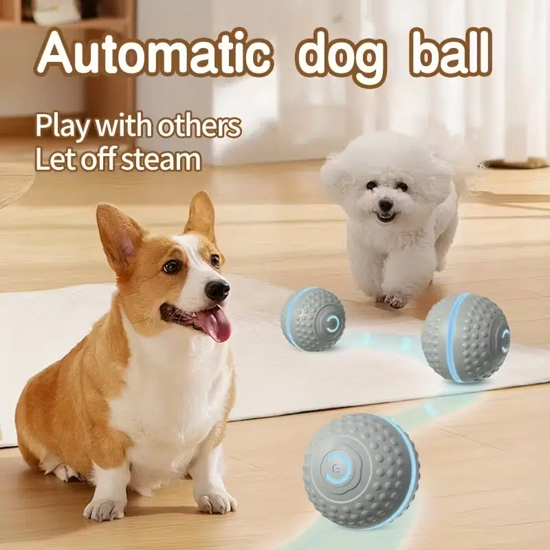 Smart Dog Toys - Image 9