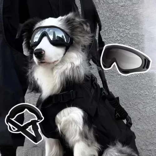 Adjustable Dog Goggles for Wholesale