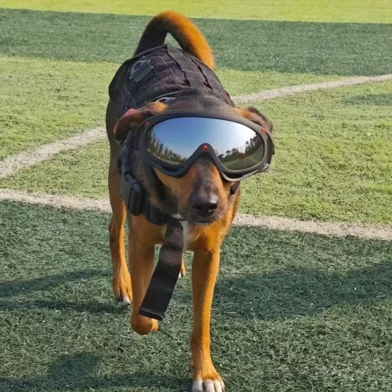 Adjustable Dog Goggles for Wholesale