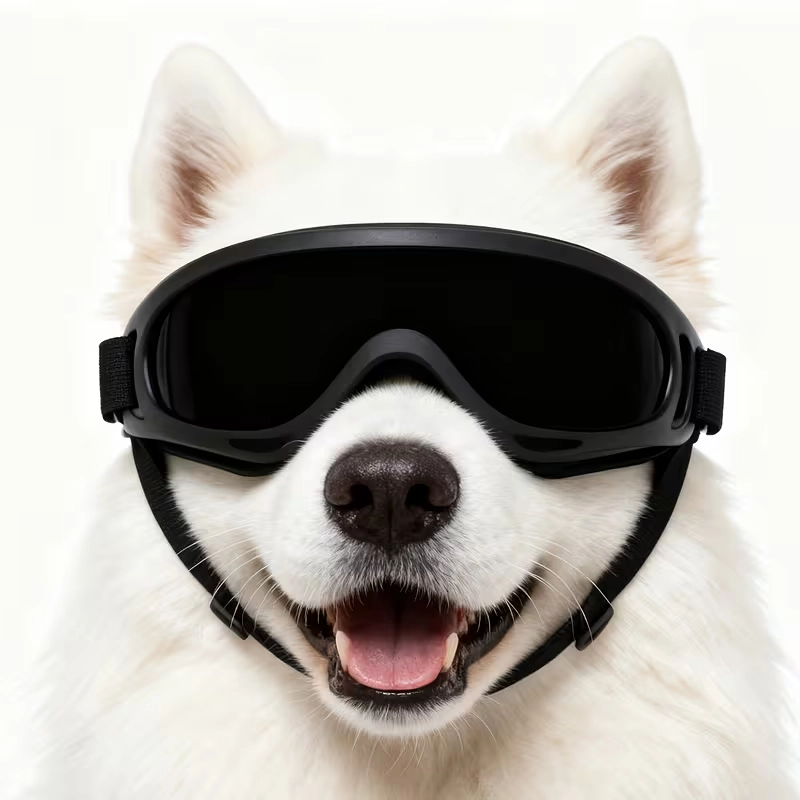 Adjustable Dog Goggles for Wholesale
