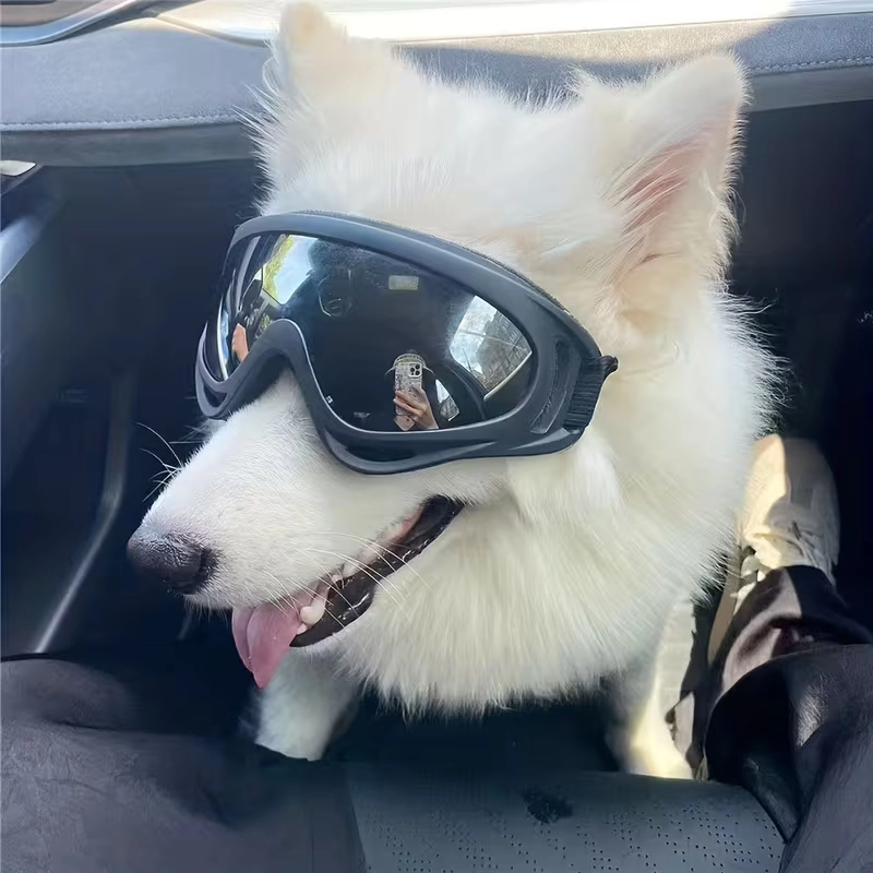 Adjustable Dog Goggles for Wholesale